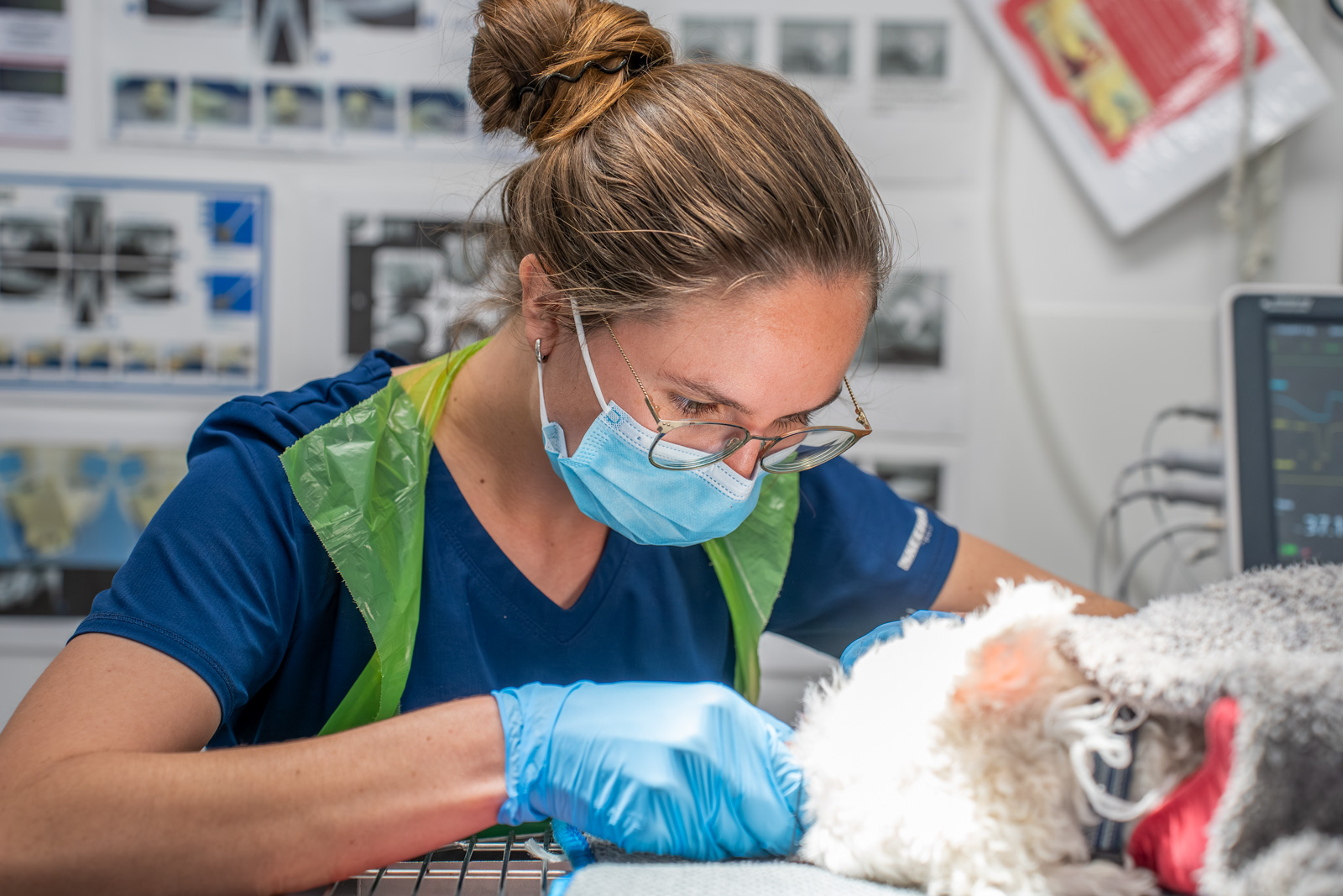 Abbey Veterinary Group (Web) 2026-05 074